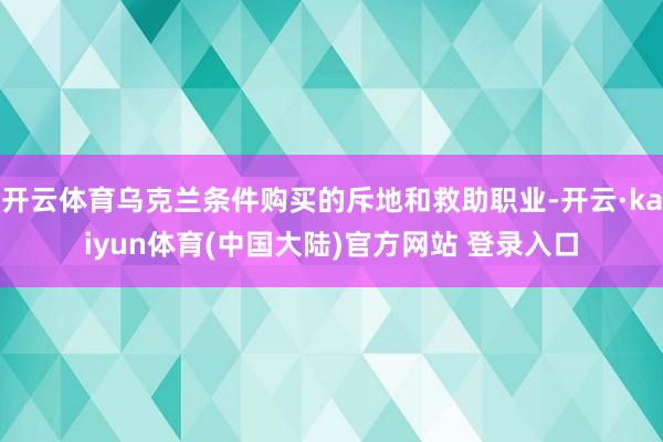 开云体育乌克兰条件购买的斥地和救助职业-开云·kaiyun体育(中国大陆)官方网站 登录入口